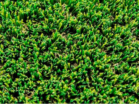 TS DUALGREEN TURF